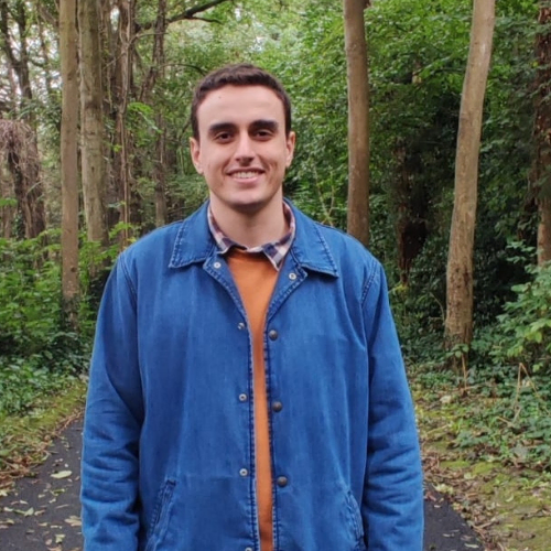 coding dev illustration